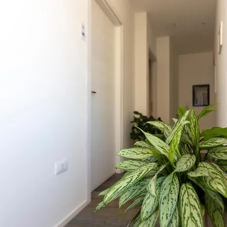 ゲストハウス Centro Panoramic カリアリ